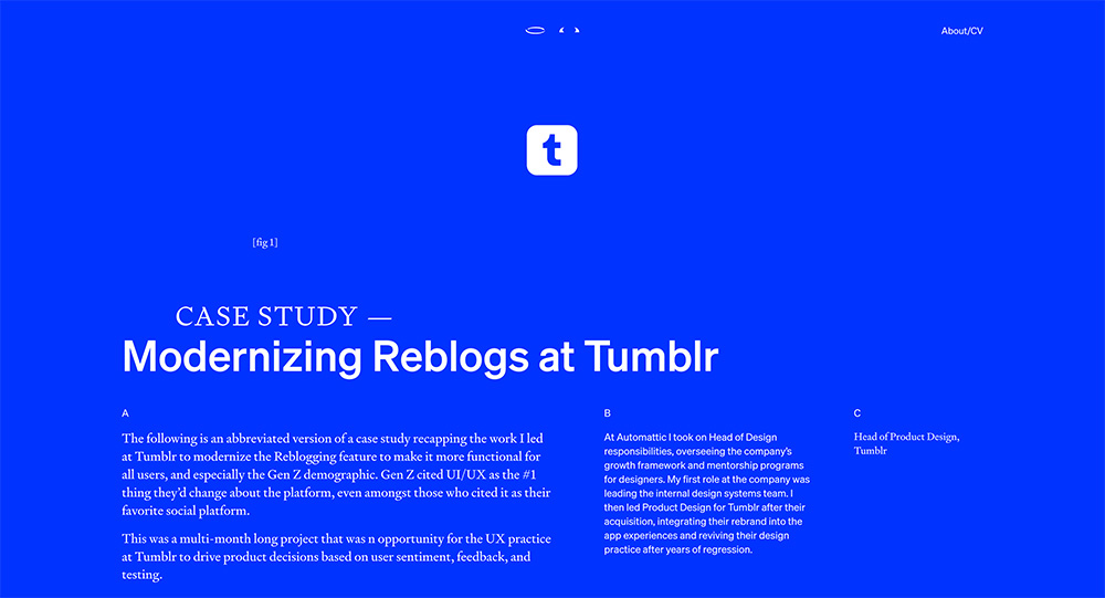 Article page within Daniel Autry's porfolio website.