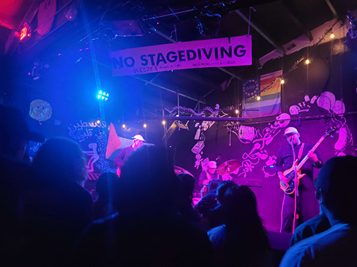 Pet Symmetry Concert