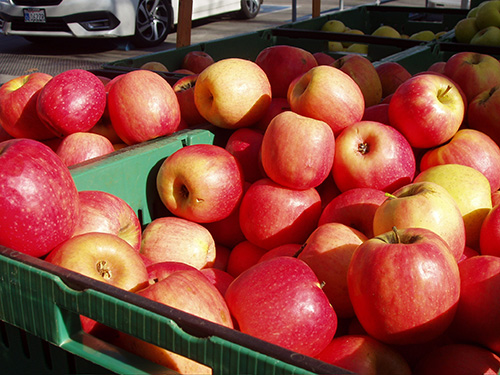Apples